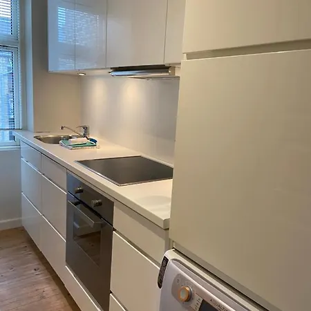 Viborggade Apartman *